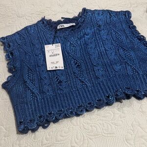 Zara Metallic Blue Cable Knit Top